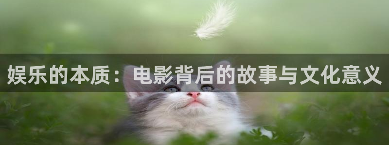 欧陆娱乐地址：娱乐的本质：电影背后的故事与文化意义
