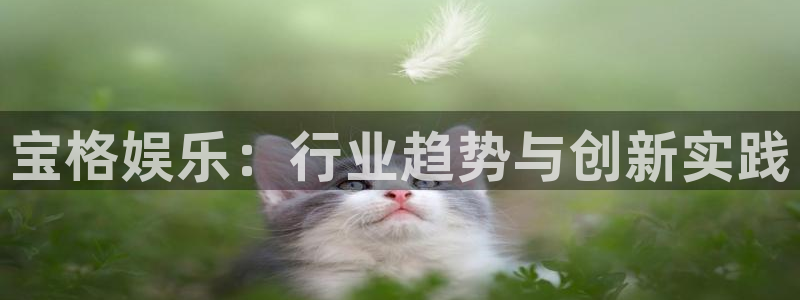 欧陆娱乐代理：宝格娱乐：行业趋势与创新实践