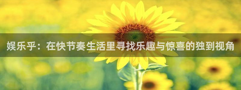 欧陆平台登录入口：娱乐乎：在快节奏生活里寻找乐趣与惊喜的独到视角