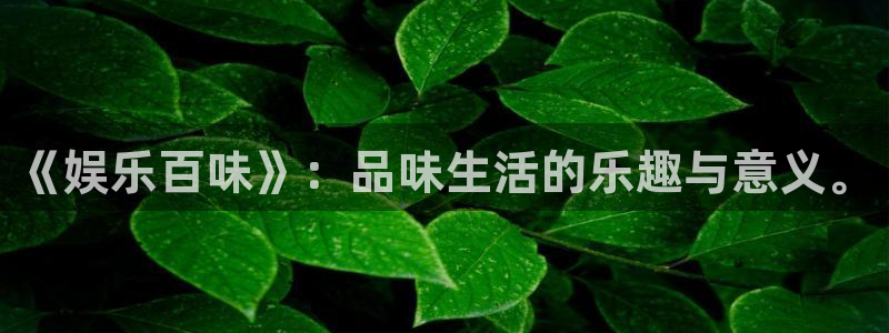 欧陆娱乐app：《娱乐百味》：品味生活的乐趣与意义。